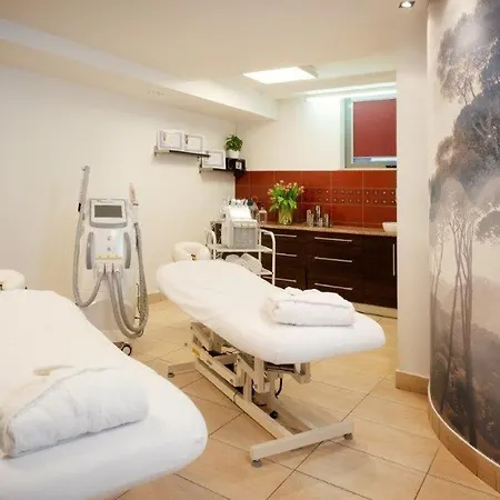 Kuracyjny & Wellness Szálloda