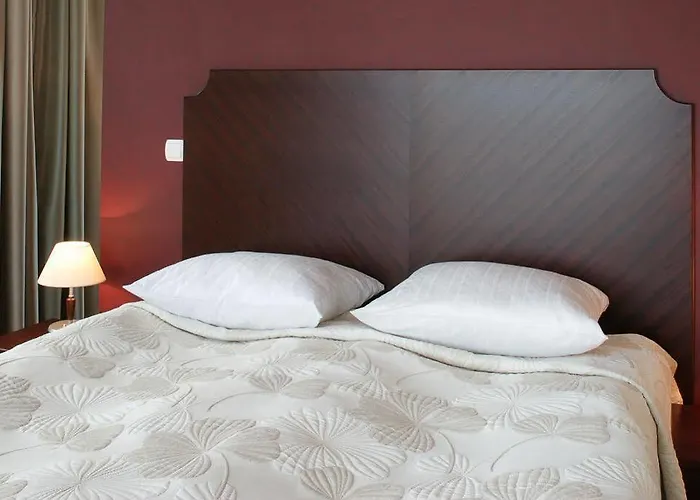 فندق Kuracyjny & Wellness 3*